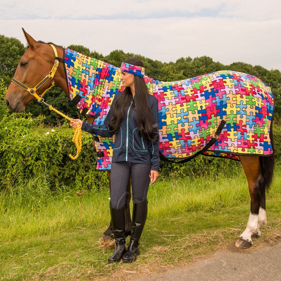 Jigsaw Horse Rug